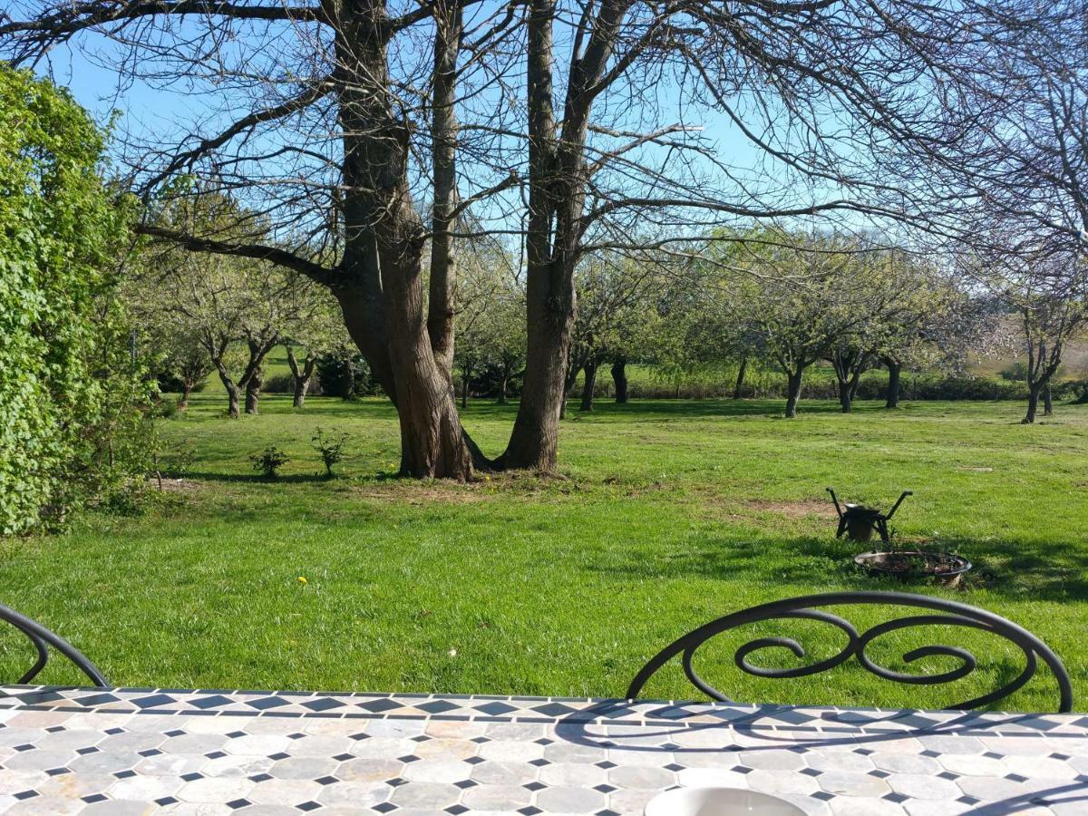 Bed and Breakfast Logis De Chezelles Sidiailles Екстер'єр фото